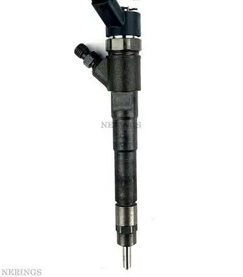 Fiat Ducato Fuel injector 0445110248