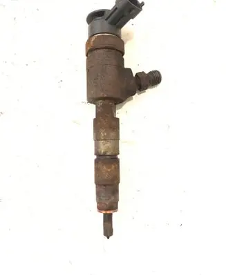 Peugeot Partner Fuel injector 0445110340 007201533101