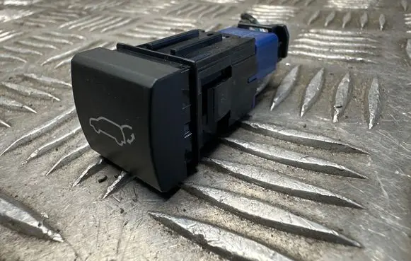 Tailgate opening switch