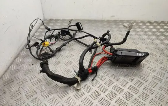 Positive wiring loom