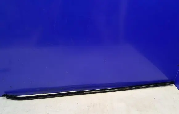 BMW X6 F16 Front door trim (molding) 737789508