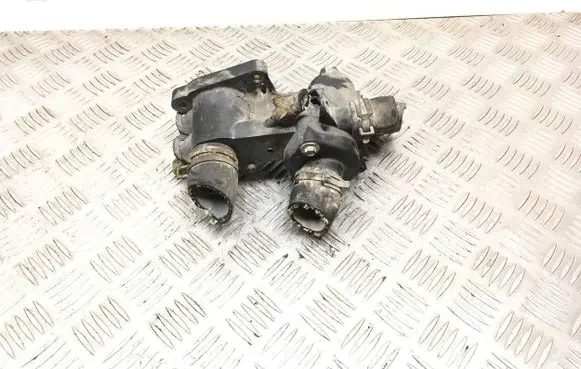 Thermostat/thermostat housing