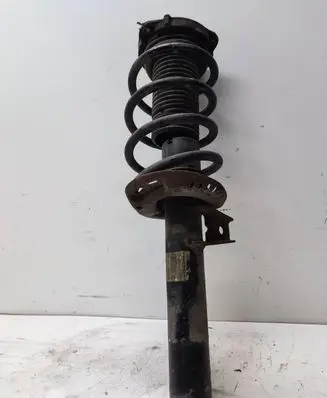 Volkswagen PASSAT B6 Front shock absorber/damper