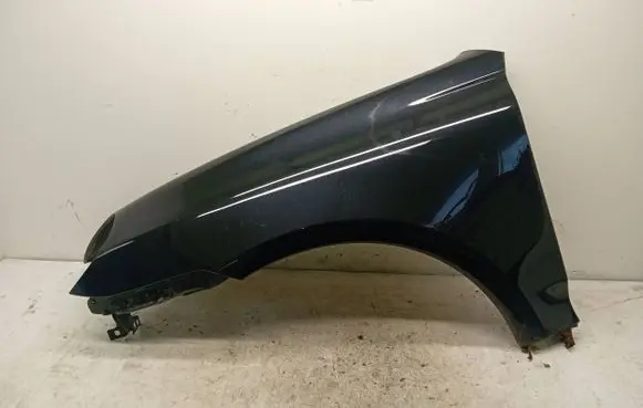 Porsche Cayenne (9PA) Fender