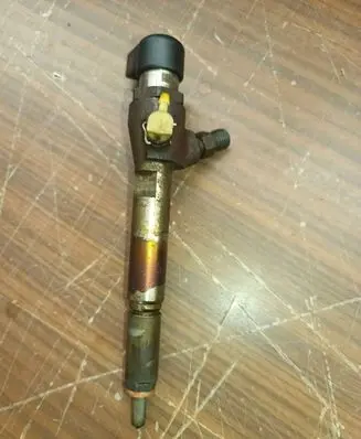 Renault Laguna III Fuel injector 8200294788