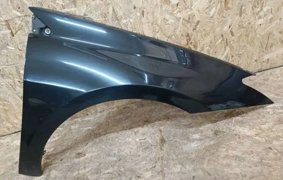 Renault Laguna III Fender