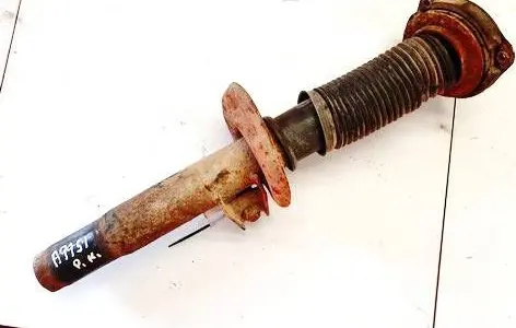 Volkswagen Golf V Front shock absorber/damper