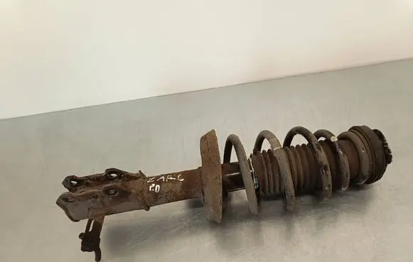 Opel Zafira C Front shock absorber with coil spring 