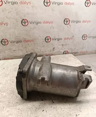 Peugeot 407 Fuel filter 6650473120