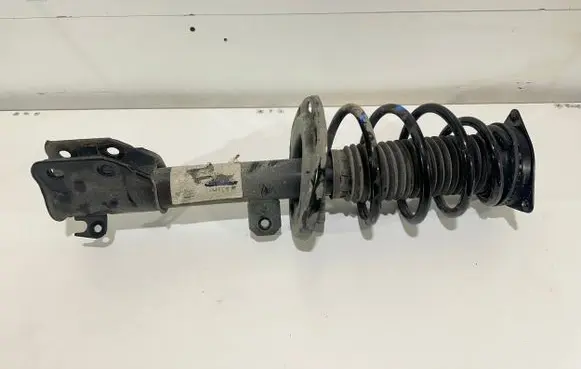 Citroen C4 III e-C4 Front shock absorber/damper 9842993480