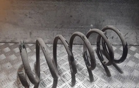 Front coil spring