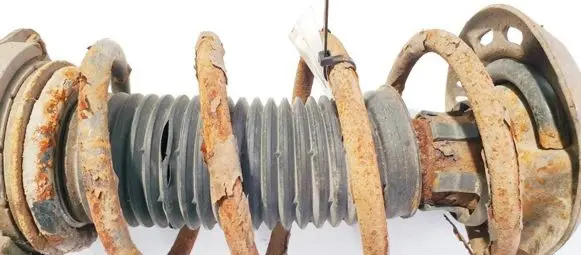 Volkswagen Golf V Front coil spring