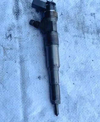 BMW X5 E53 Fuel injector 7789661 0445110131