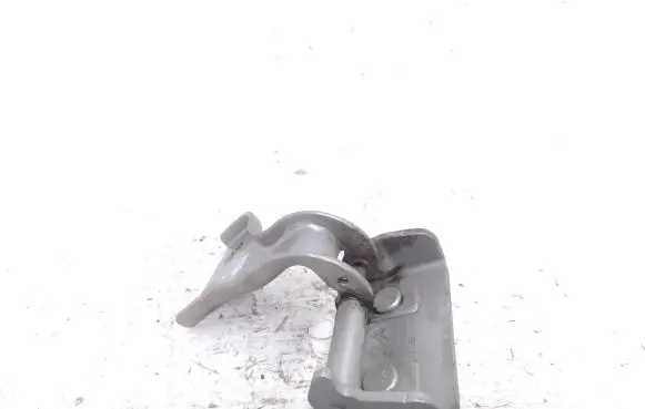 Tailgate/trunk/boot hinge