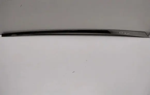 KIA Optima Rear door glass trim molding