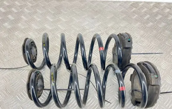 MG ZS Rear coil spring