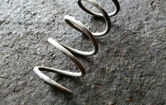 Nissan Juke I F15 Front coil spring 