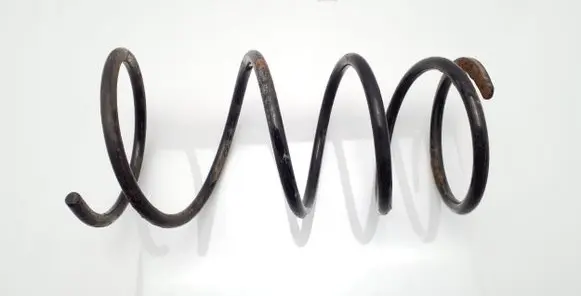 Toyota RAV 4 (XA20) Front coil spring