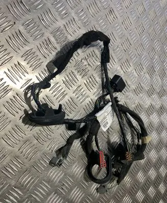 Rear door wiring loom