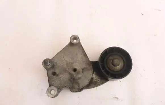 Citroen C3 Timing belt tensioner 