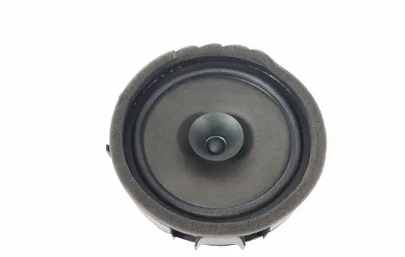Front door speaker