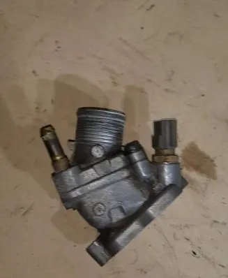 Thermostat/thermostat housing