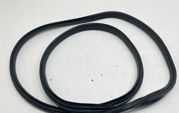 Renault Captur Rear door rubber seal (on body) 769230258R