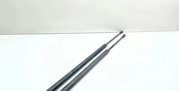 Tailgate/trunk strut/damper