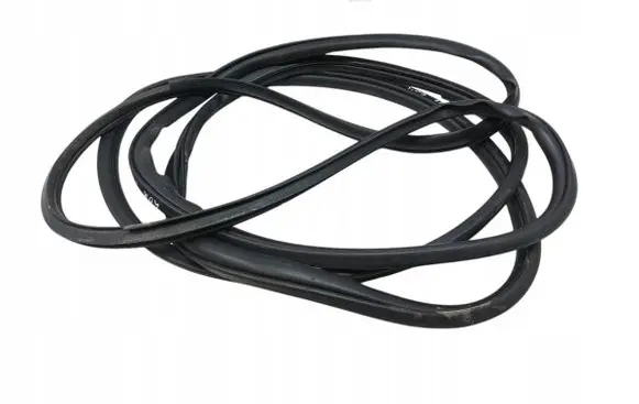 Mitsubishi Lancer VIII Rubber seal front door (on door) 