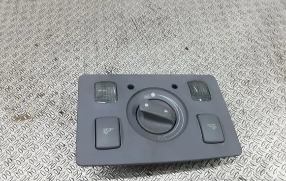 Audi A6 Allroad C5 Front seat light 