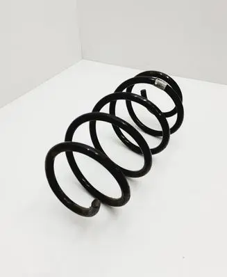 Ford Fusion II Front coil spring DG9C5310