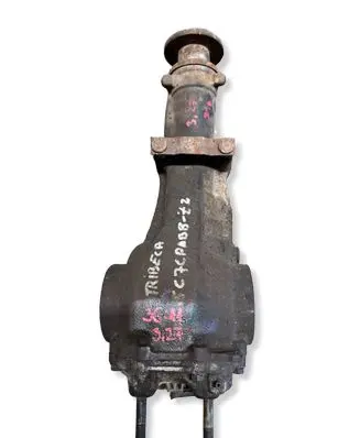 Subaru Tribeca Rear differential 3300AC280