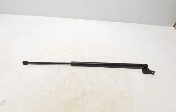 Rear shock absorber/damper