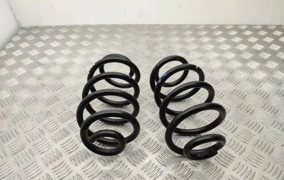 Renault Zoe Rear coil spring