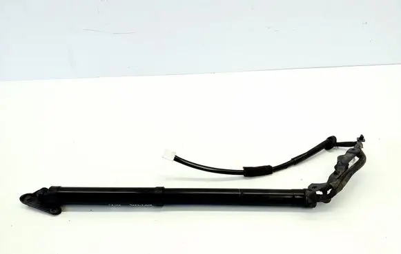 Tailgate/trunk strut/damper