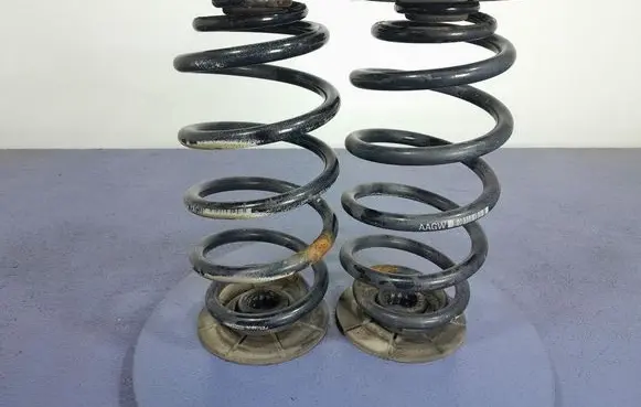 Rear coil spring