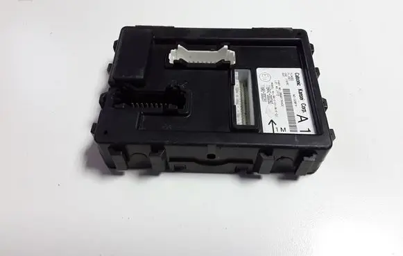 Nissan Juke I F15 Comfort/convenience module 116RAI000280
