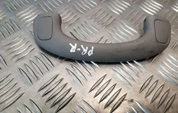 Toyota Land Cruiser (J120) Front interior roof grab handle