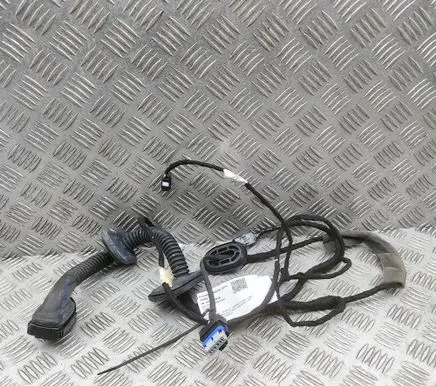 Renault Arkana Front door wiring loom 241256576R