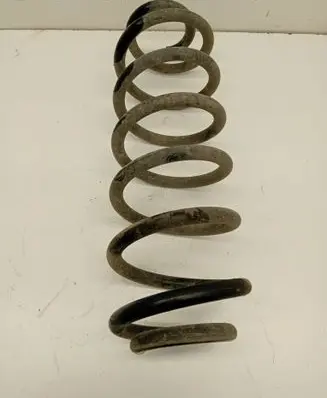 Volkswagen PASSAT B6 Rear coil spring
