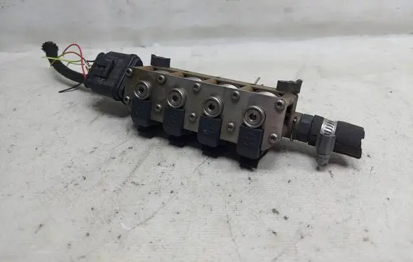 Volkswagen Golf IV LP gas injectors set 67R017064 CLASS2 110R007065