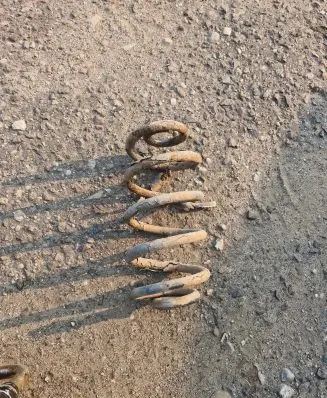 Audi A4 S4 B6 8E 8H Rear coil spring