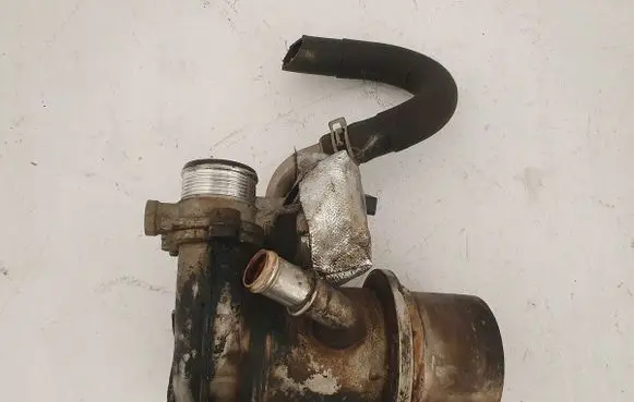 Skoda Rapid (120G, 130G, 135G) EGR valve 04L131501C