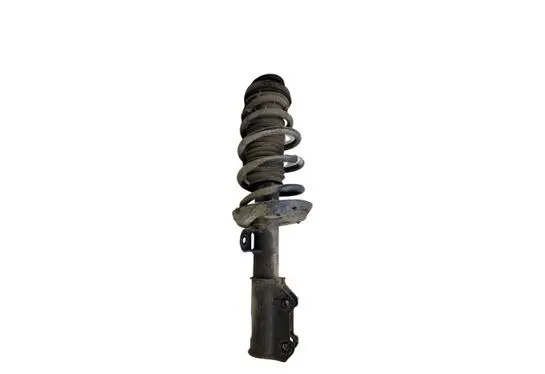Opel Zafira C Front shock absorber with coil spring 13354038
