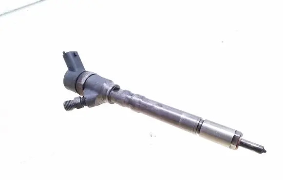 Hyundai Santa Fe Fuel injector 0445110064 3380027010