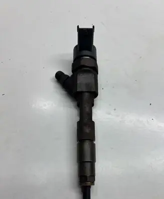 Renault Scenic II - Grand scenic II Fuel injector 0445110021