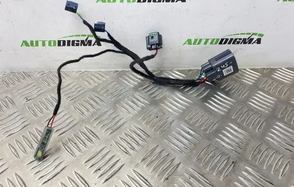 Land Rover Evoque II Rear door wiring loom C86532100121019