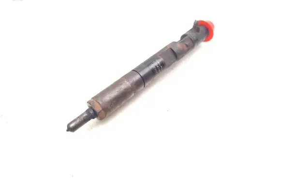 Dacia Sandero Fuel injector EJBR05101D 8200676774