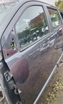 Dacia Lodgy Front door