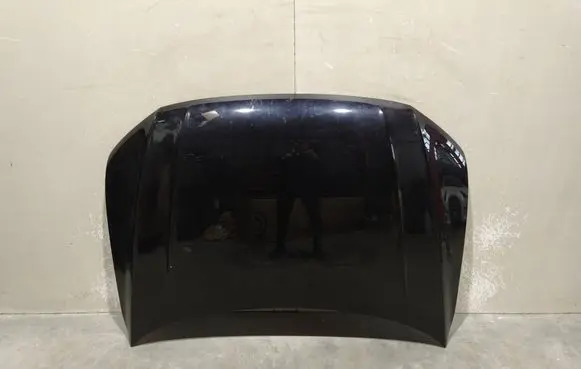 Volkswagen Tiguan Engine bonnet/hood 5NA823031L